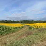 Stunning Rural Gem With Pool In Southwest France * Brie-sous-Barbezieux