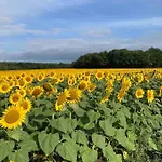 Stunning Rural Gem With Pool In Southwest France * Brie-sous-Barbezieux
