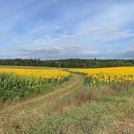 Stunning Rural Gem With Pool In Southwest France * Brie-sous-Barbezieux