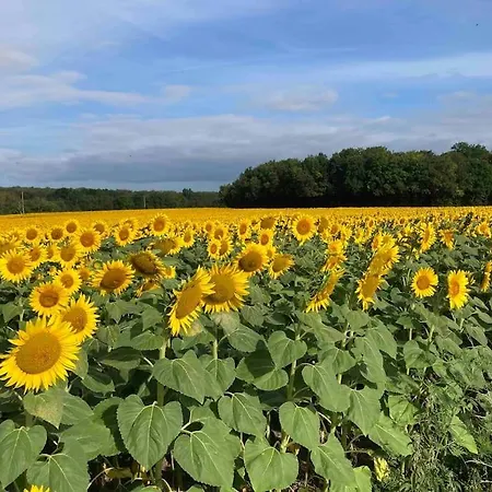 Stunning Rural Gem With Pool In Southwest France * Brie-sous-Barbezieux