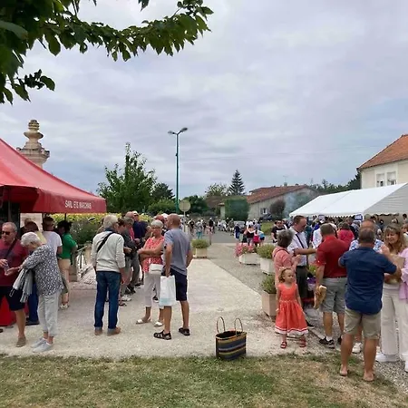 Stunning Rural Gem With Pool In Southwest France * Brie-sous-Barbezieux